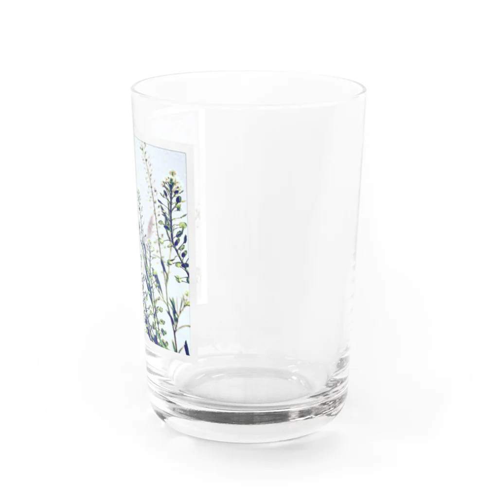 blancillaの揺れる花 Water Glass :right