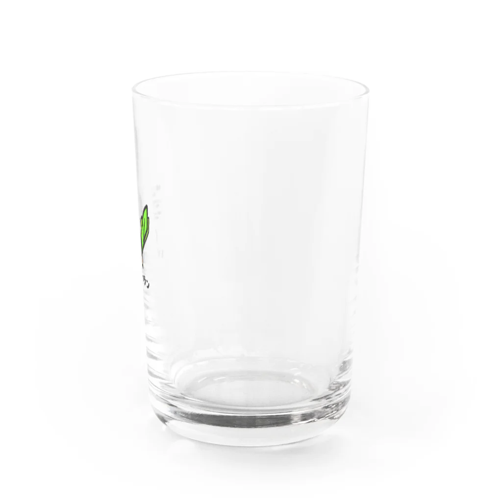 HAJIMEのいぬサフラン Water Glass :right