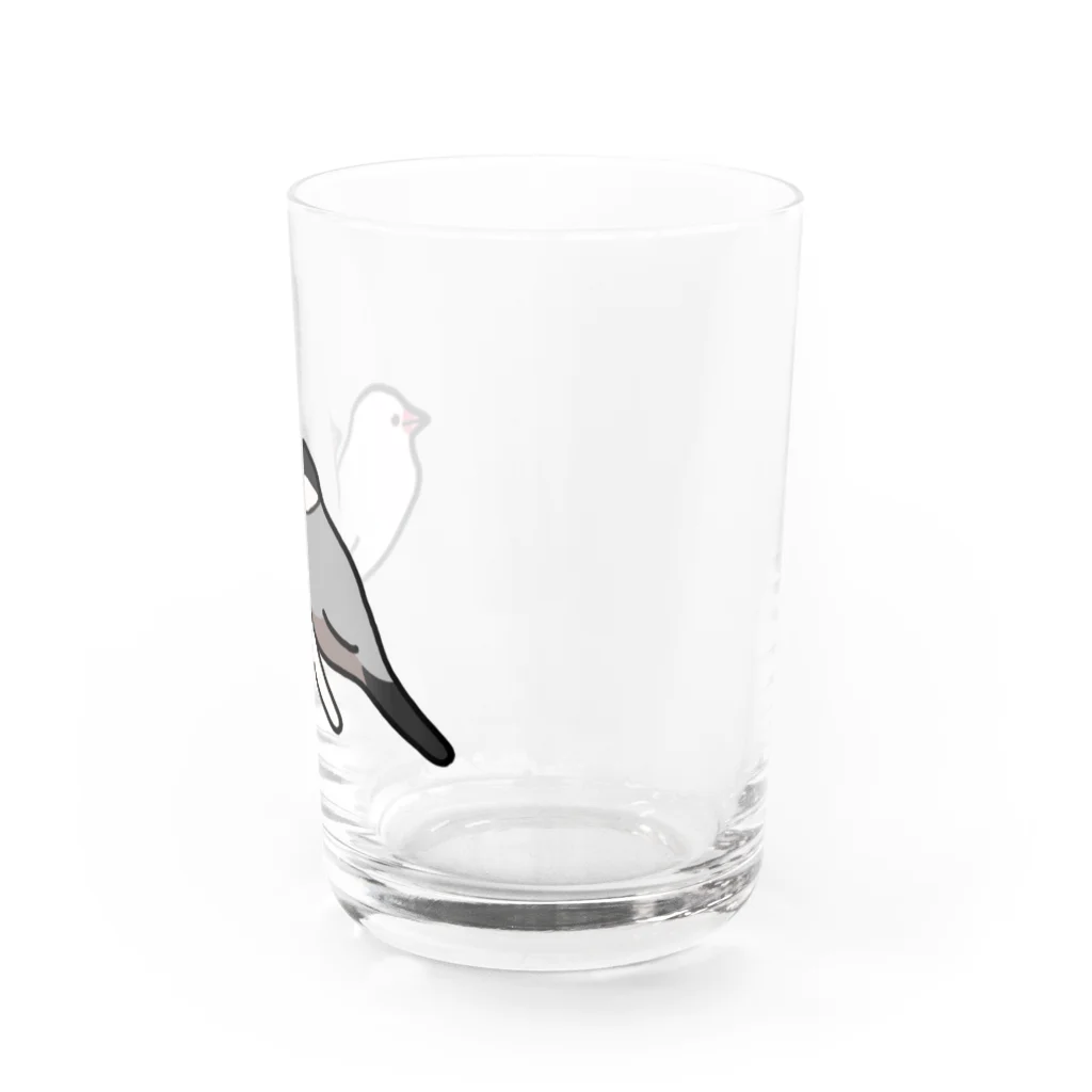 Oshiboriの白文鳥と桜文鳥 Water Glass :right