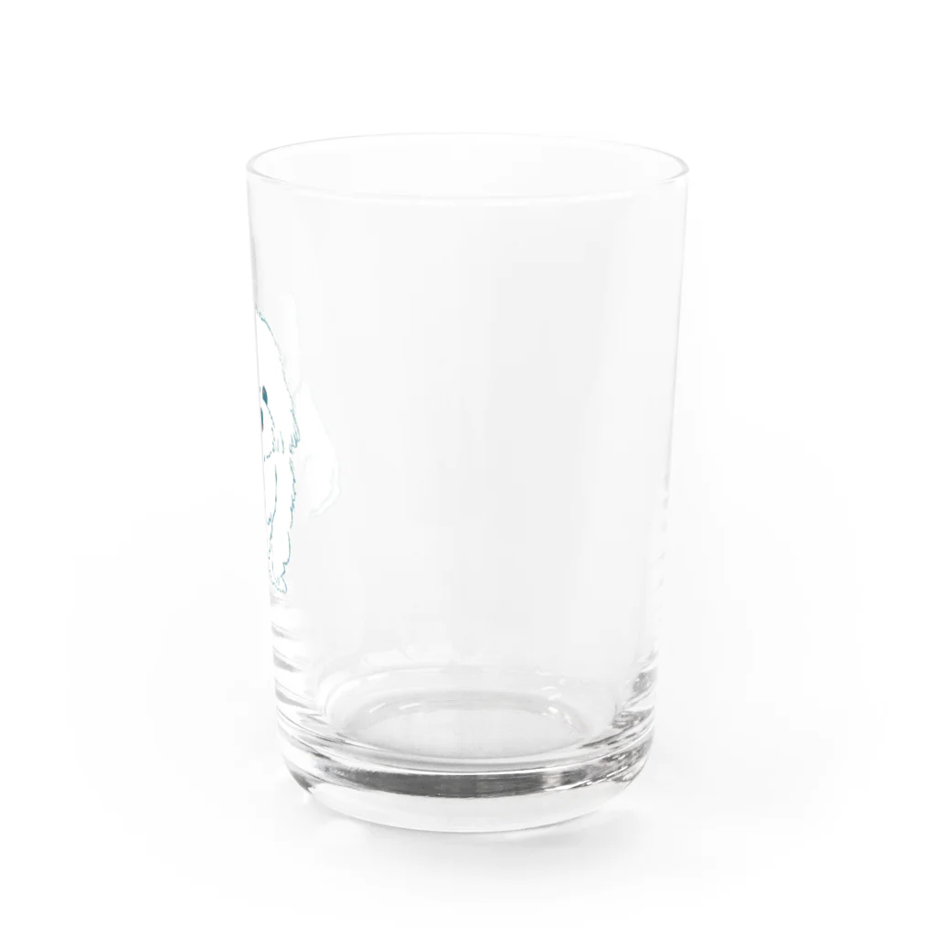 akariのマルチーズもふもふ Water Glass :right