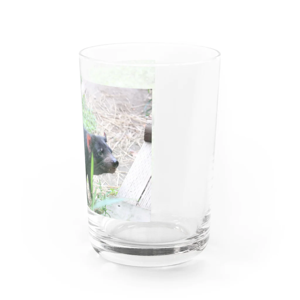 三毛猫のハシモトのタスマニアデビル(横) Water Glass :right