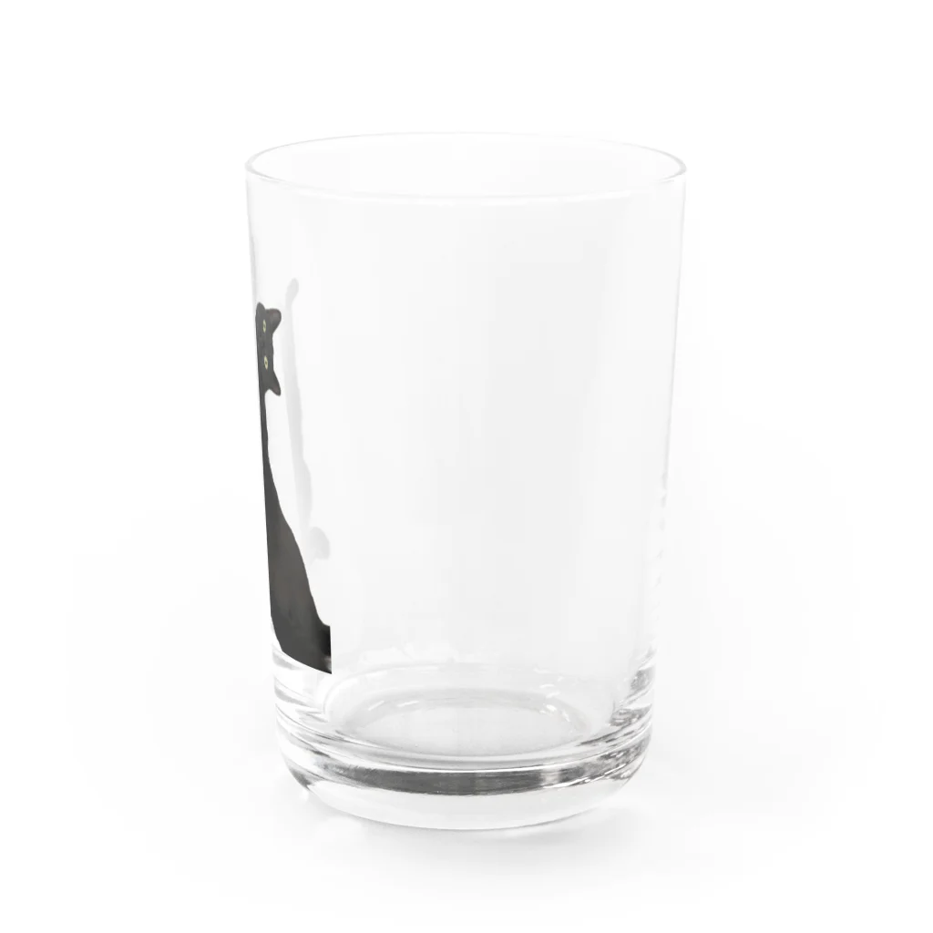 MiYABiの仰向けの猫 Water Glass :right