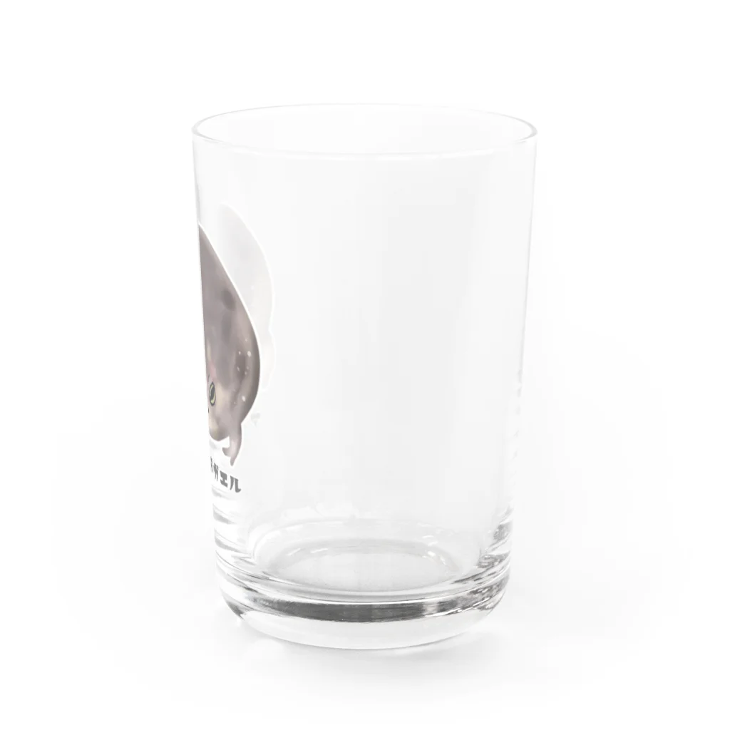 raraのゆるかわTシャツ屋さんのアメフクラガエル Water Glass :right