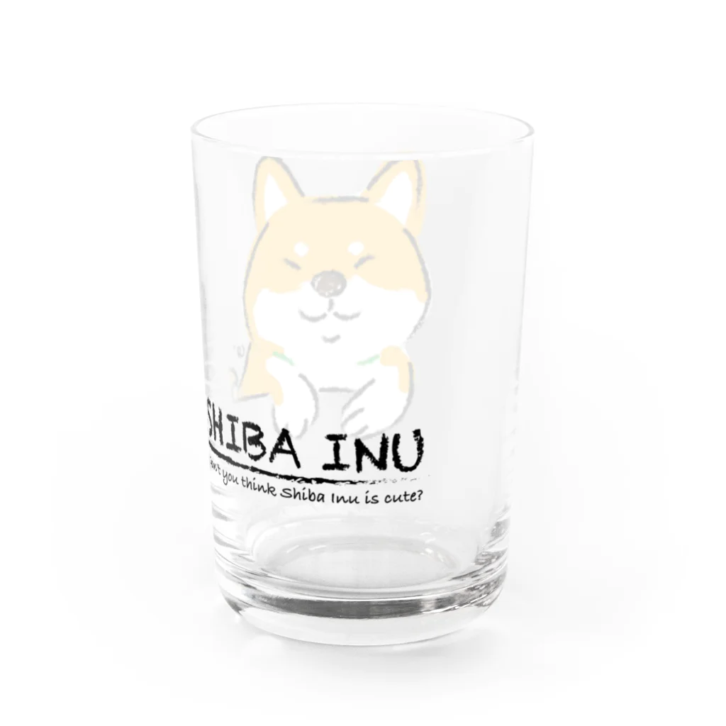 chizuruの柴犬かわいい。 Water Glass :right