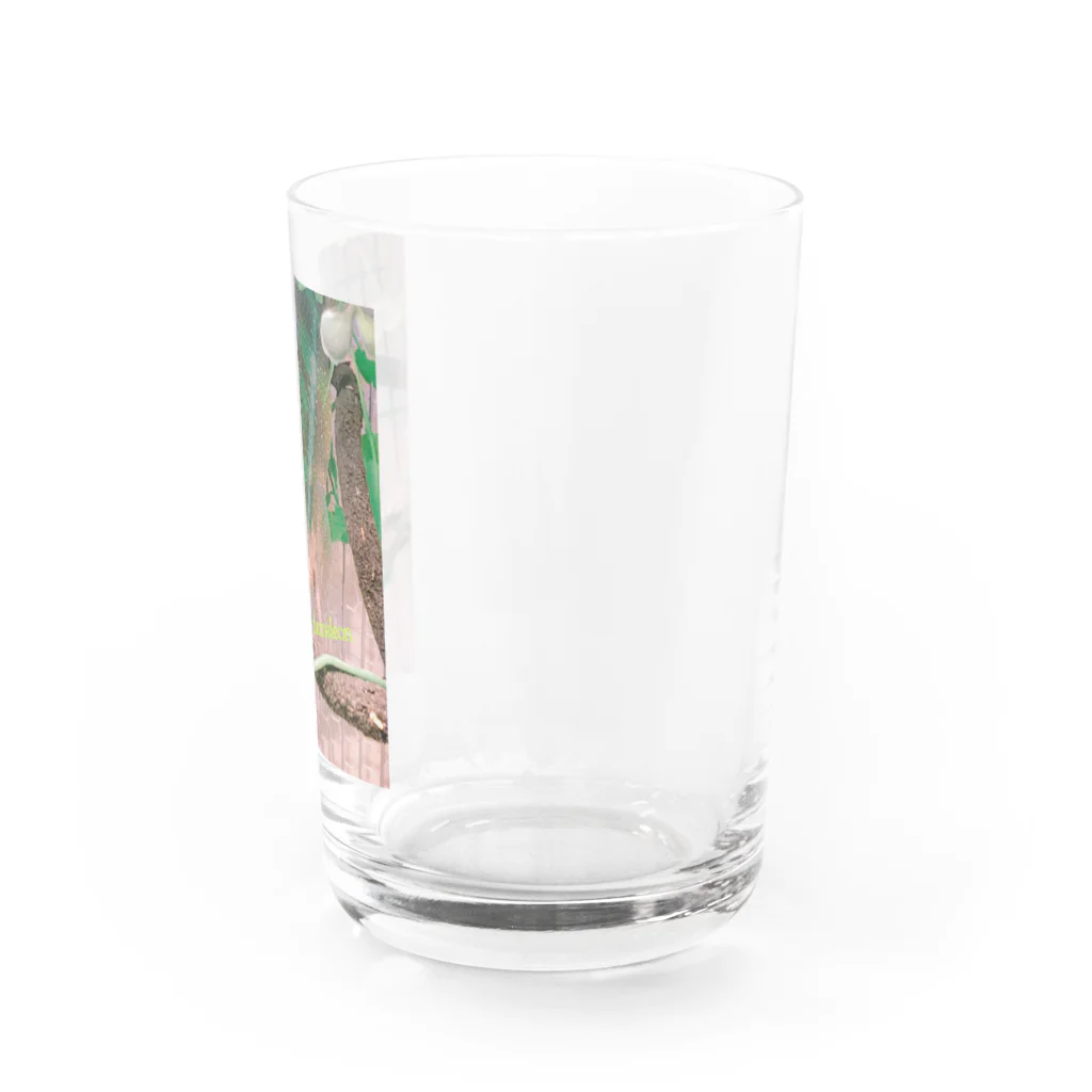 ruka2825のぱんくん Water Glass :right