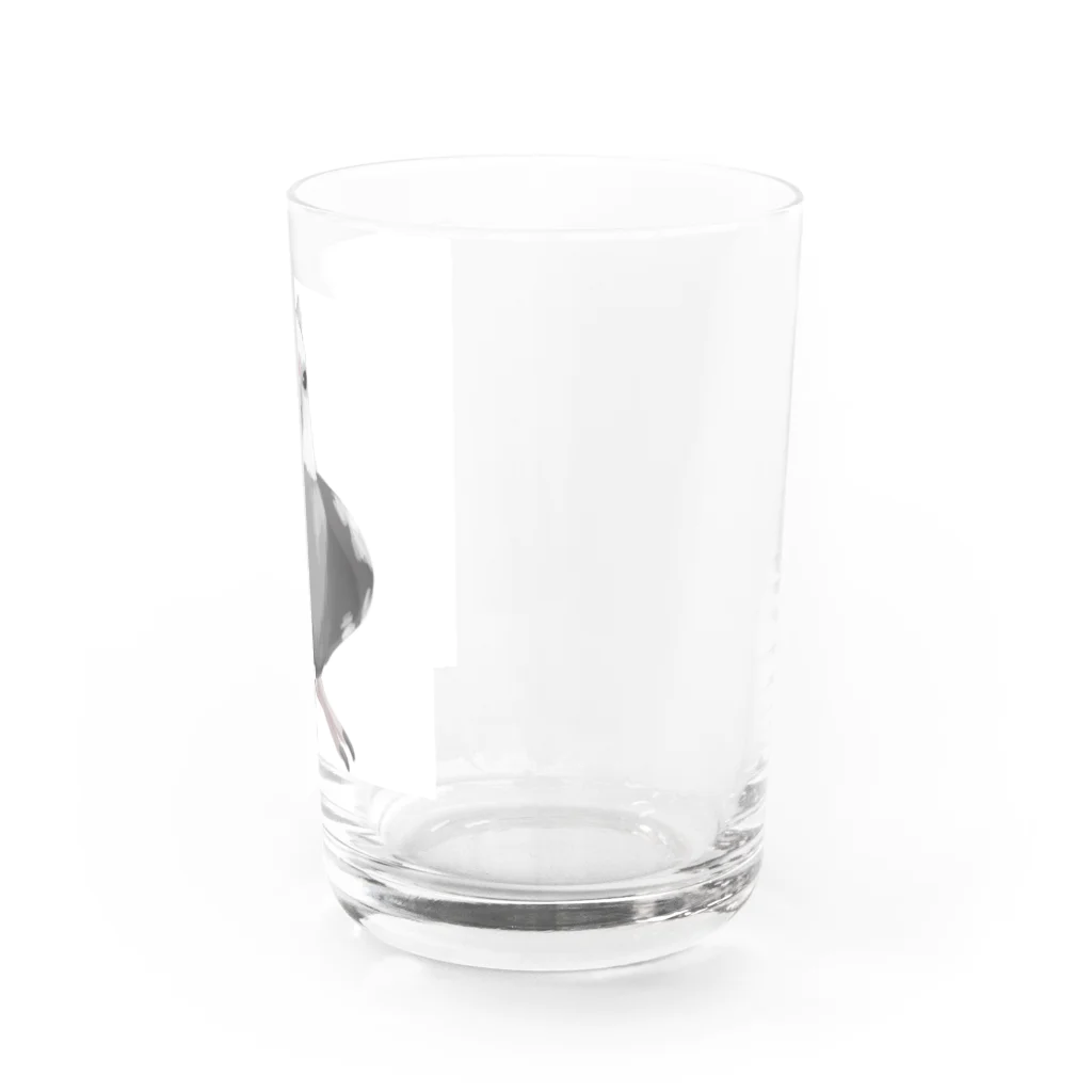 こいんこ堂のホワイトフェイス⭐so  cool!  Water Glass :right