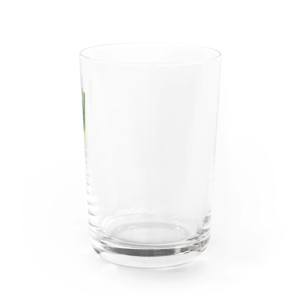 shiramizのあれっ…ネギ、ついてない？ Water Glass :right