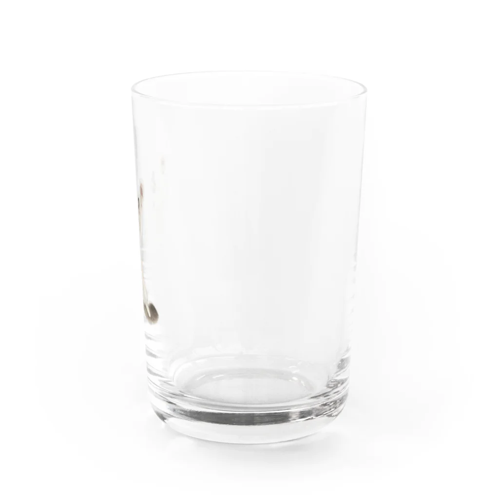 ラグドールのおうちの万歳ネコ Water Glass :right