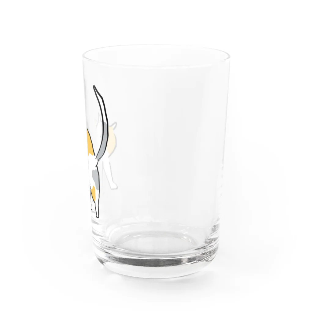 キャットニャーのCalm Catt（カームキャット） Water Glass :right