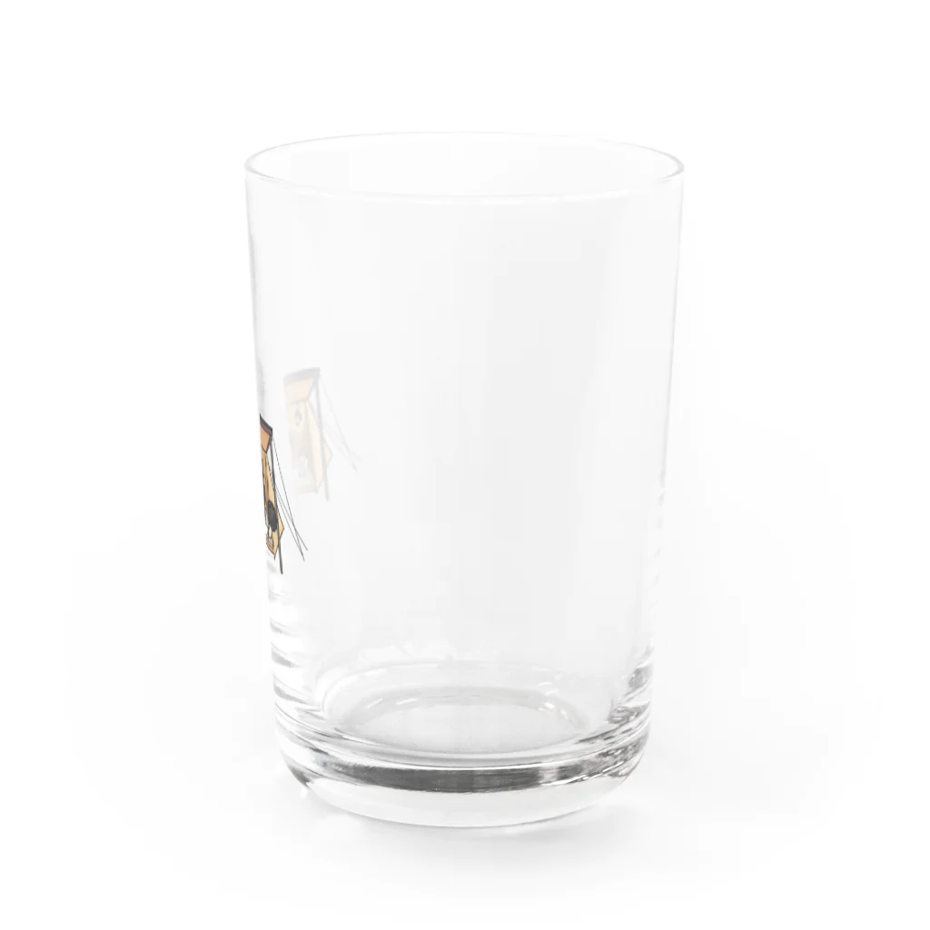 ⛺️みいこcamp のみいこパップテントスタイル Water Glass :right