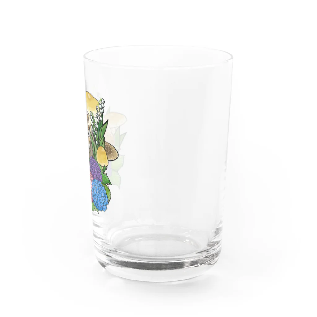 ウラケンストアの有毒動植綵絵スローロリス Water Glass :right