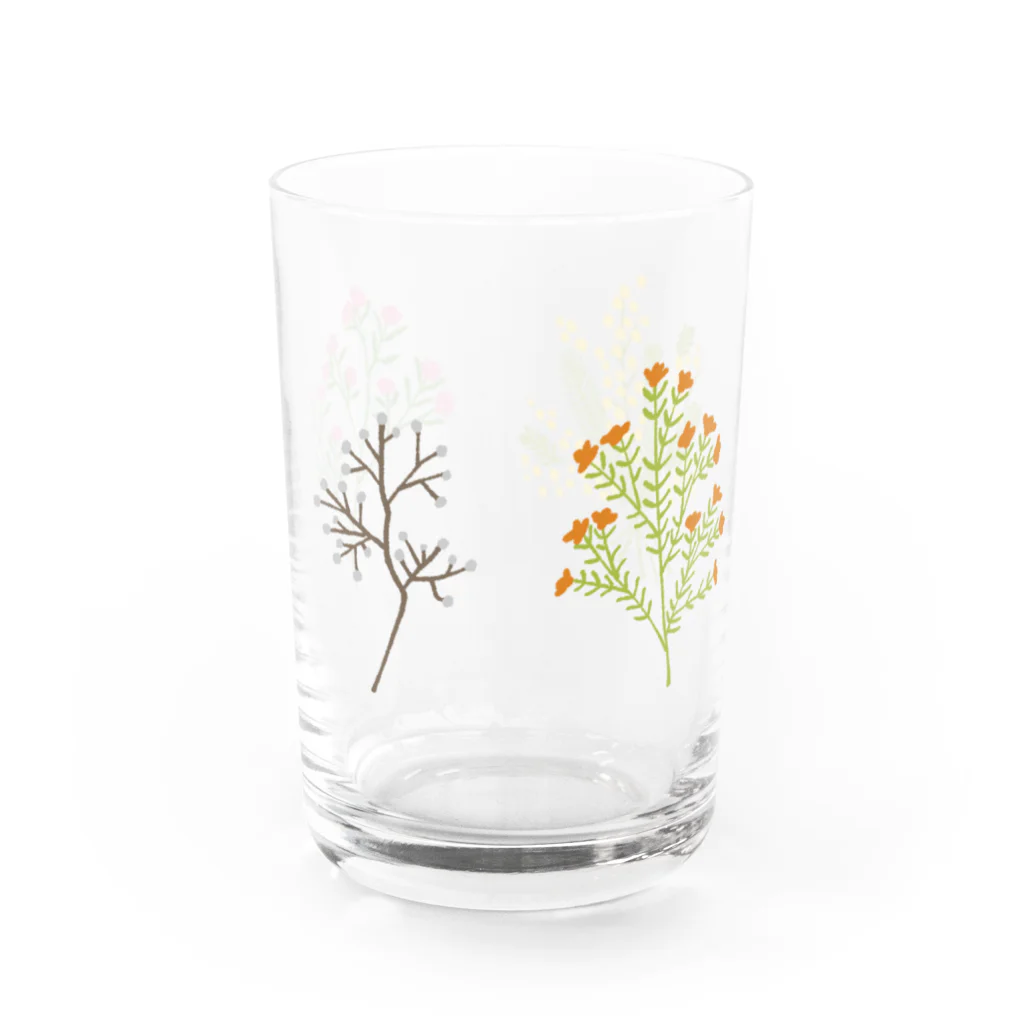 かぼすだちのお店のかわいい植物 Water Glass :right