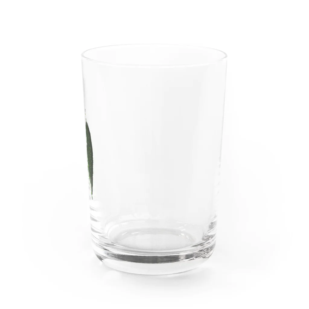 nanaのゴーヤ好き Water Glass :right