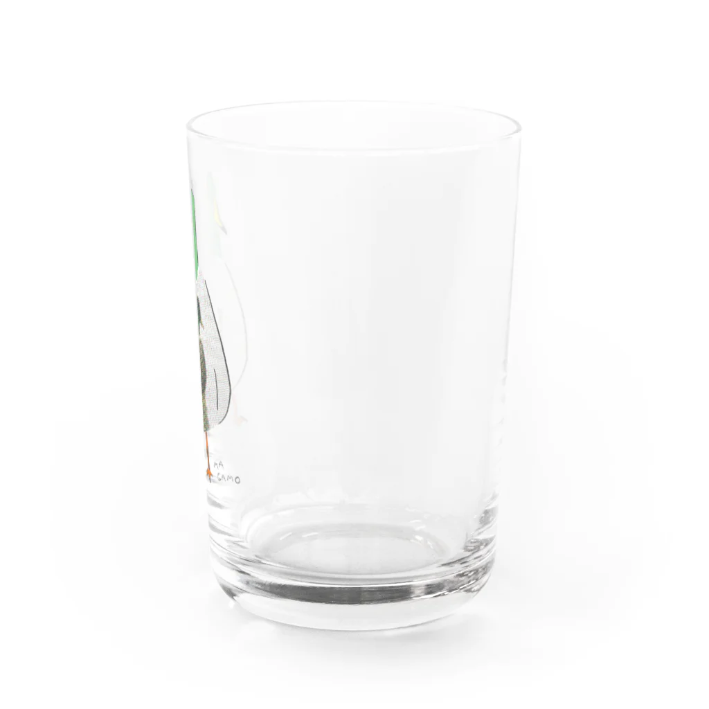 TORISUKI（野鳥・鳥グッズ）のカモかもしれない Water Glass :right