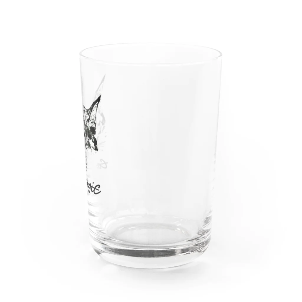 CatsalgiCのCatsalgiC《オリジナルロゴ》 Water Glass :right