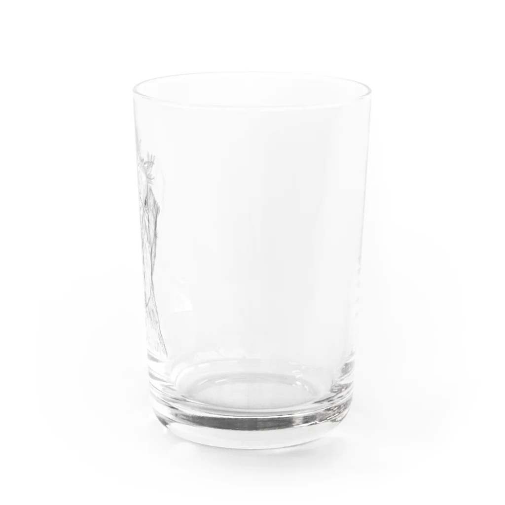 森図鑑の[森図鑑] ハシビロコウの顔 鉛筆画 Water Glass :right