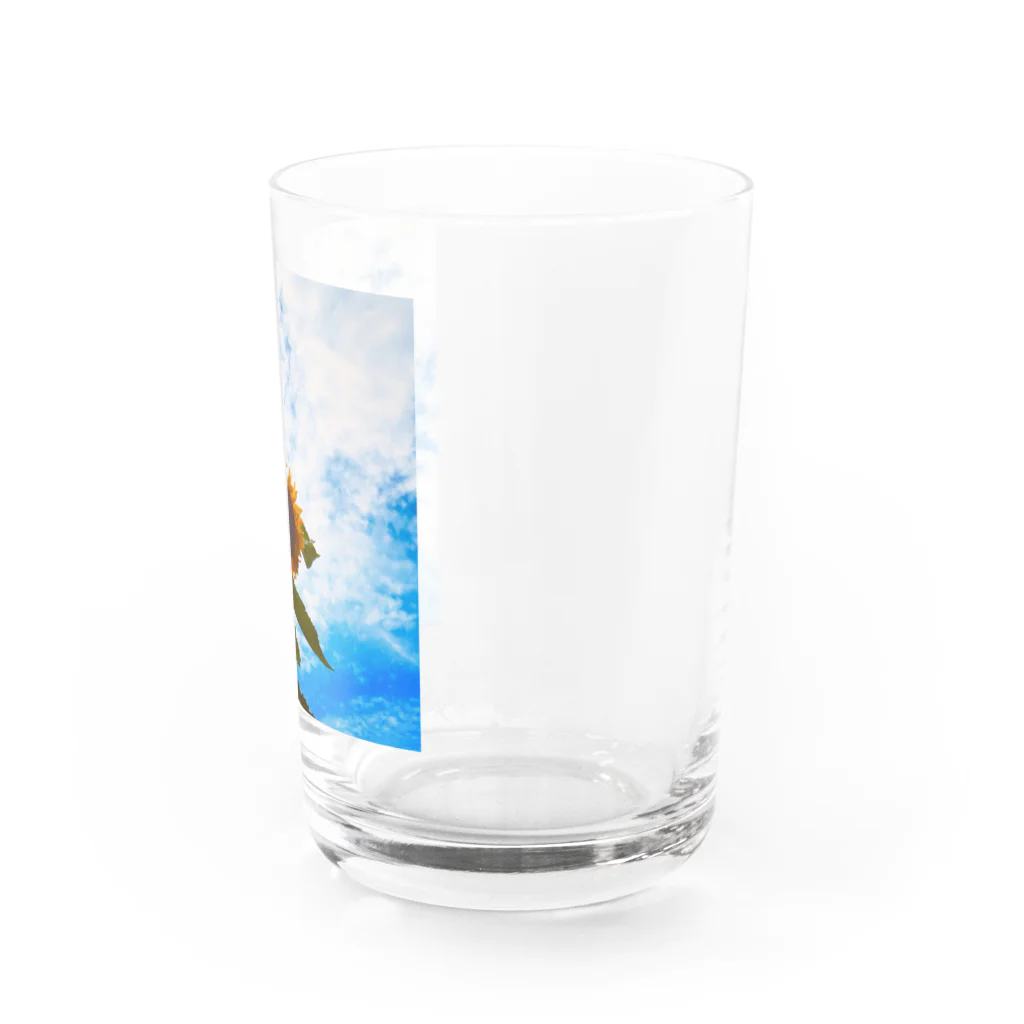 はるきちのぐんぐんひまわり Water Glass :right