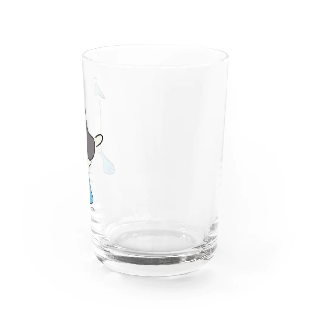 NMのお散歩アオアシカツオドリ Water Glass :right