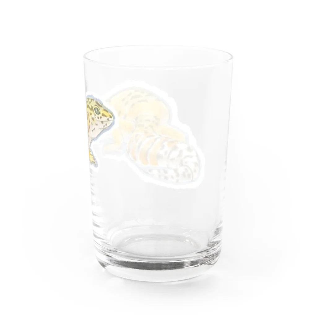 うすたのレオパ=タンジェリン Water Glass :right