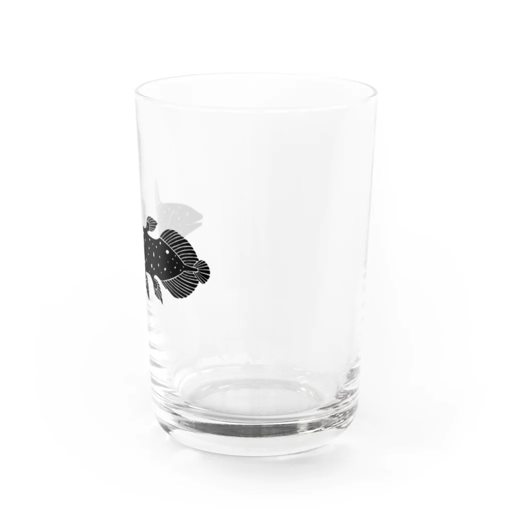 瀨頭 陽のほほえみシーラカンス Water Glass :right