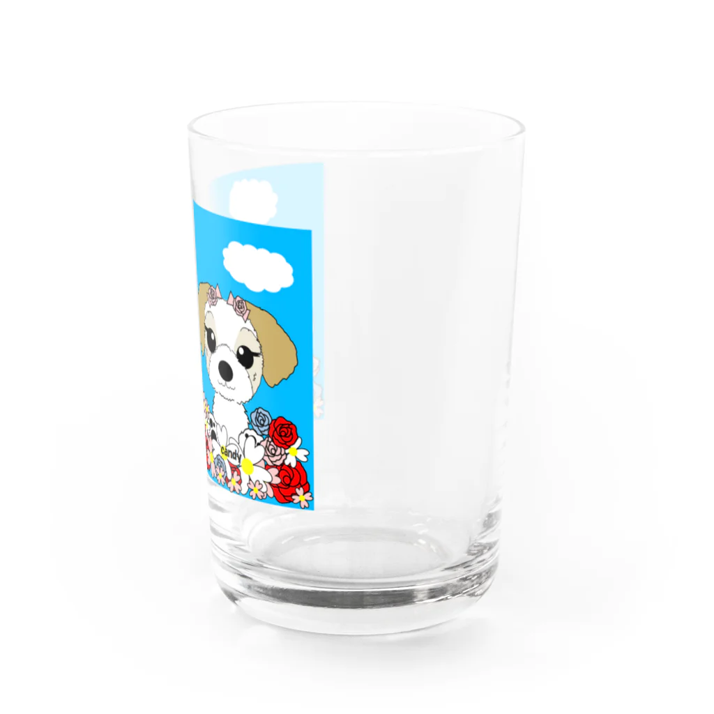 kororeo工房のお花畑けのシーズーちゃん達 Water Glass :right