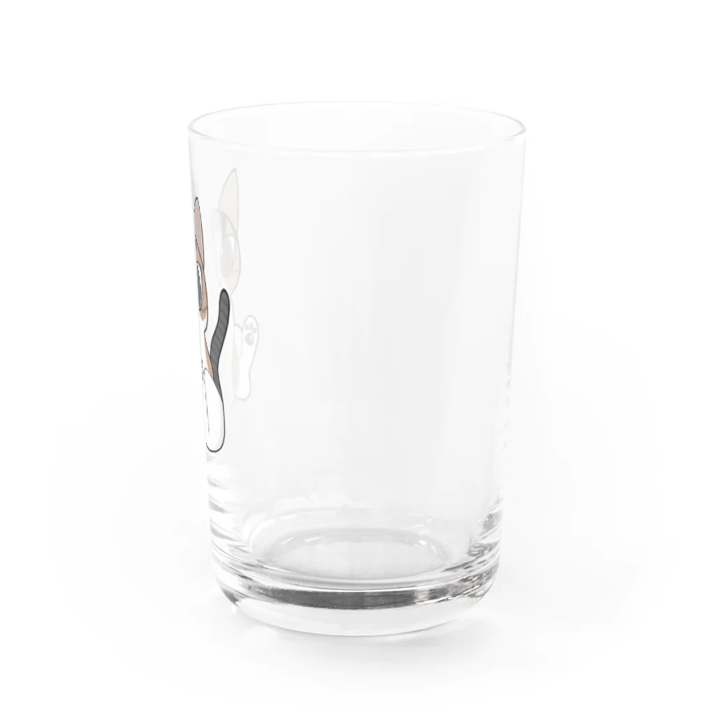 しろくろねこのうちのねこ Water Glass :right