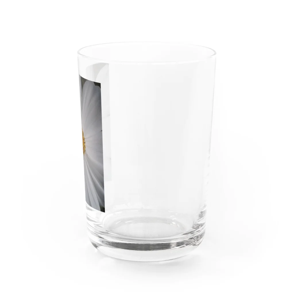 Dreamscape(LUNA)のその純粋な心で・・・ Water Glass :right