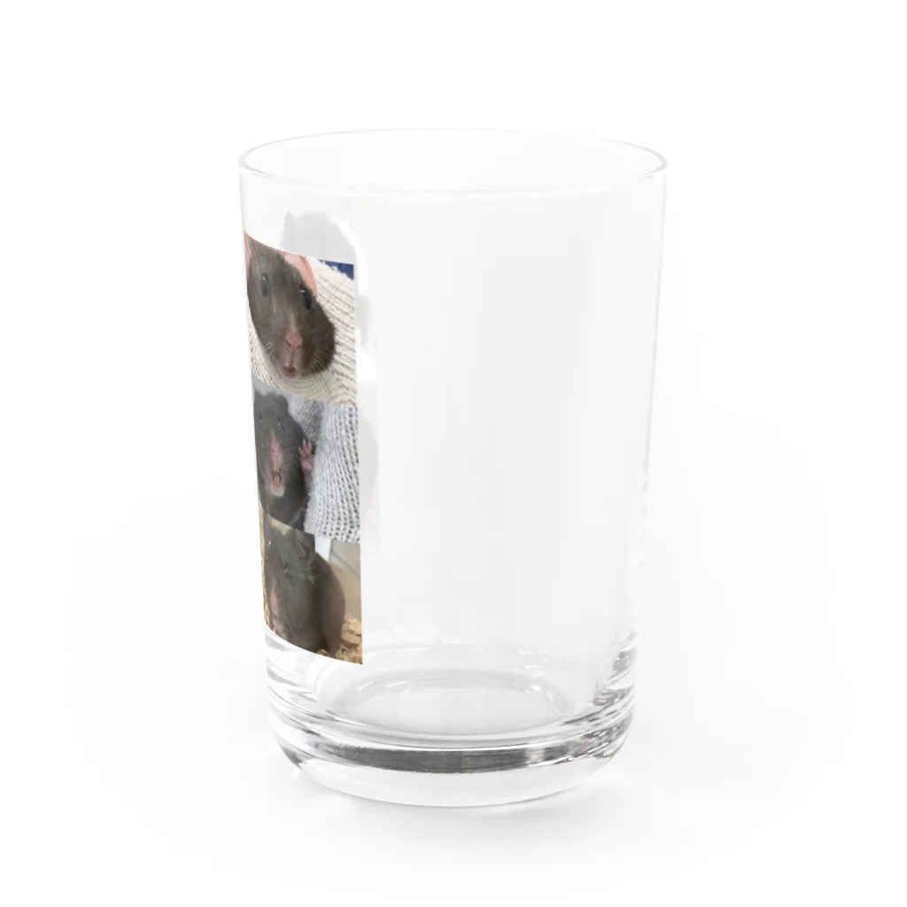 川沼池兄弟妹グッズの黒沼さん表情管理 Water Glass :right