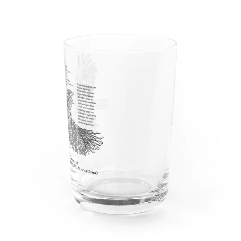 雁花工房（寄付アイテム販売中です）のWild plants of HOTOKENUMA-wetlands（黒） Water Glass :right