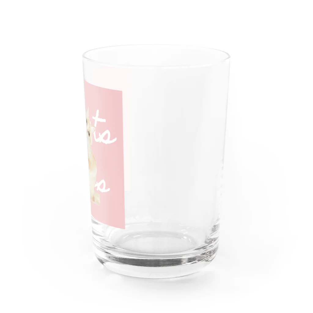 m.うちの子イラストの殿さま✳︎ sweets series Water Glass :right