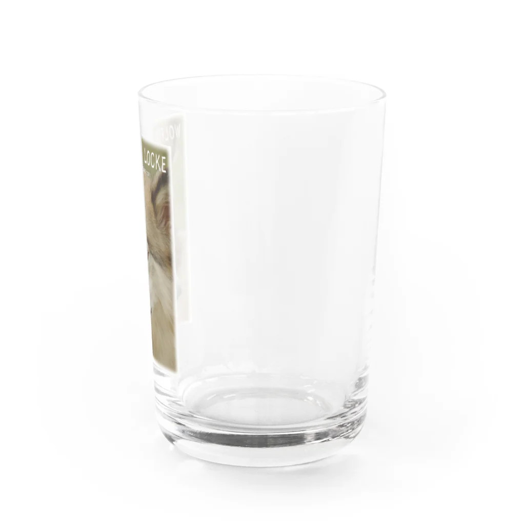 工房斑狼の狼犬ロックフォト Water Glass :right