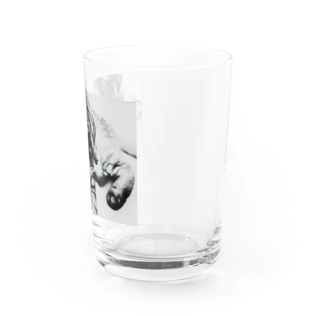 ronのろんＴ Water Glass :right