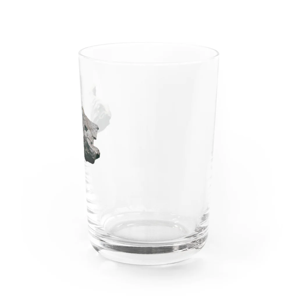 Yusuke Saitohの岩 Water Glass :right