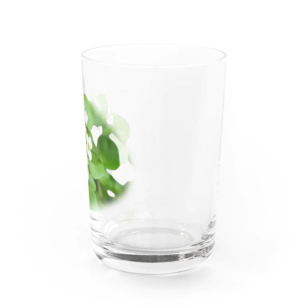 squeak🐭のクレソンのお花 Water Glass :right