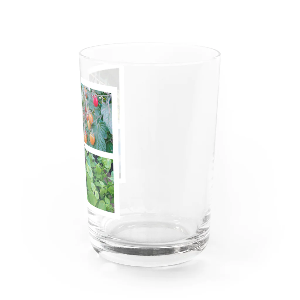 aasのお盆　obon Water Glass :right