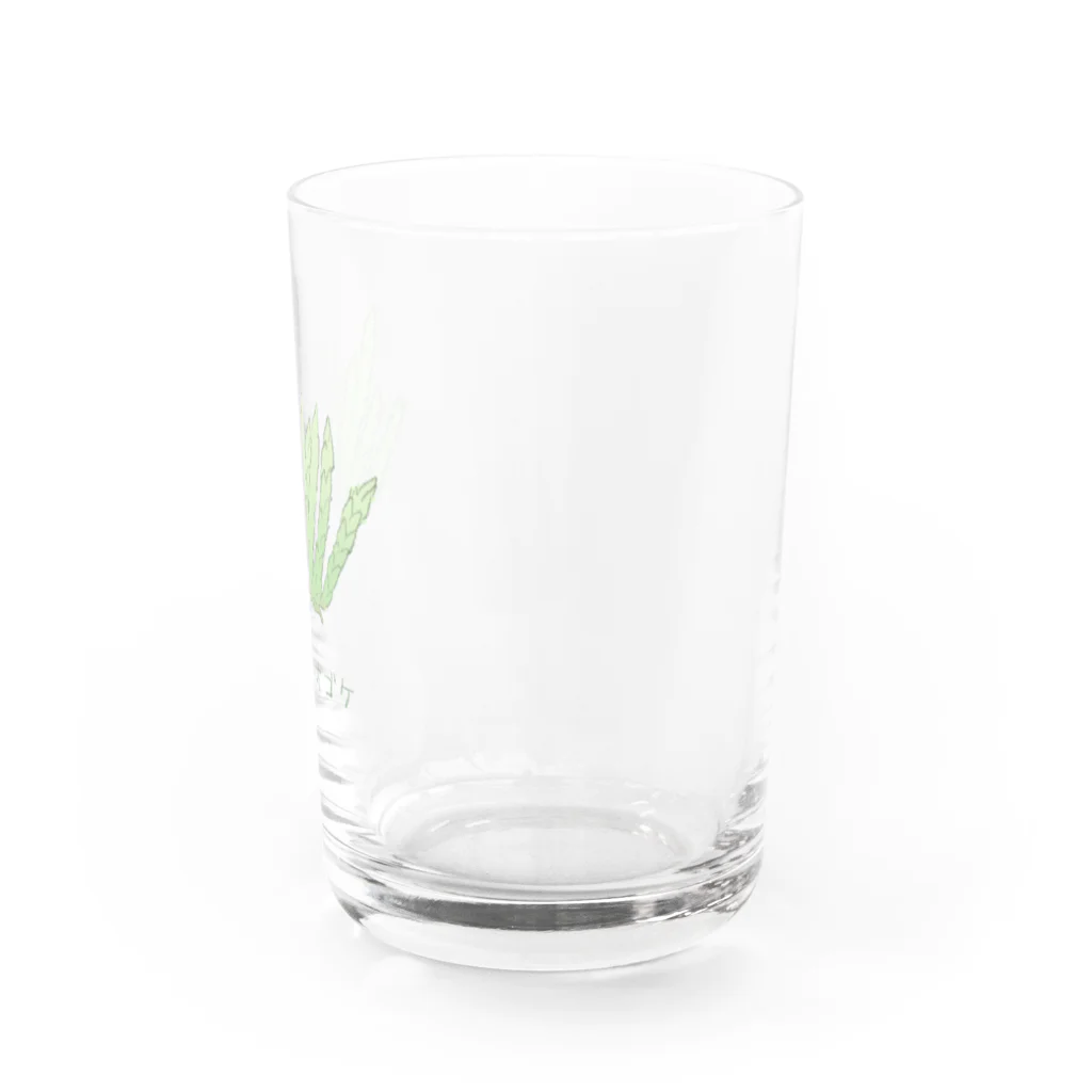 Yuzurium -ユズリウム- 苔テラリウムのネズミノオゴケ【苔グッズ】 Water Glass :right