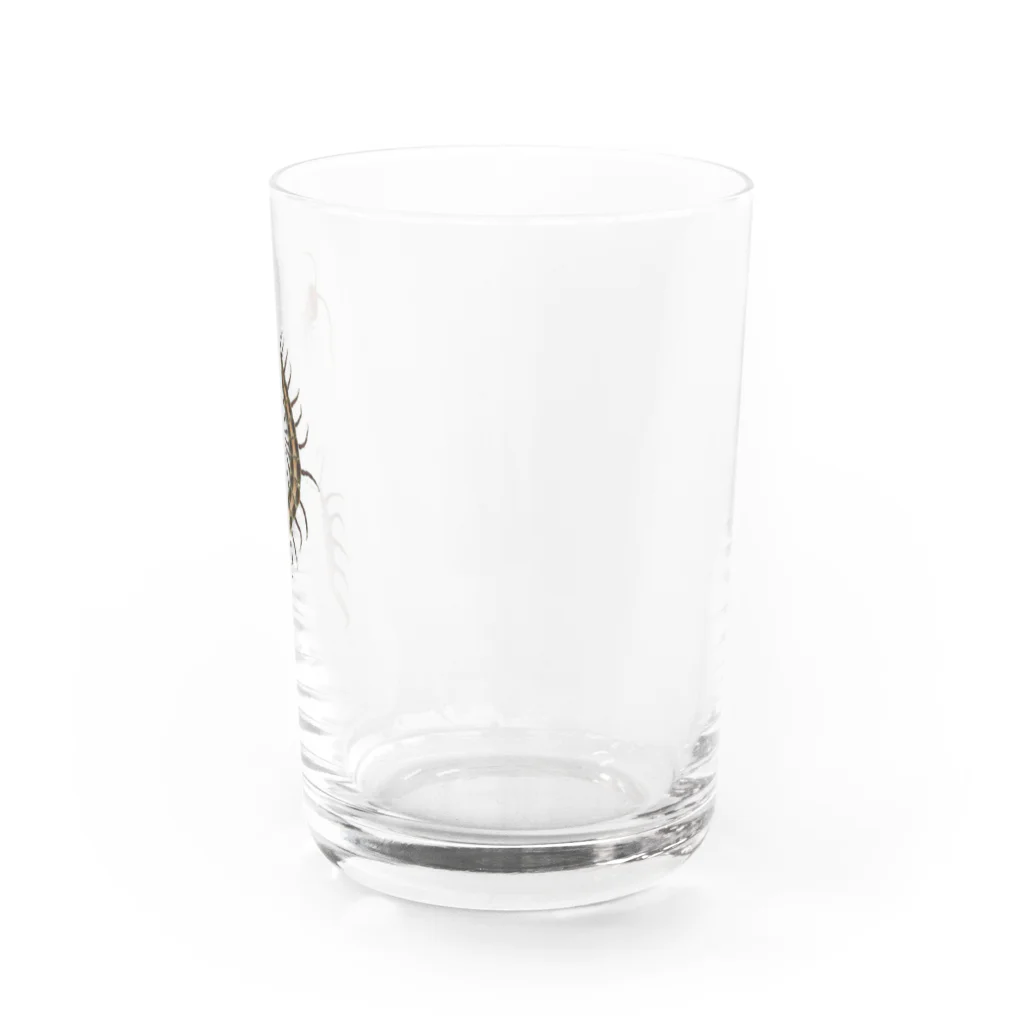 Rubbishのむかで Water Glass :right