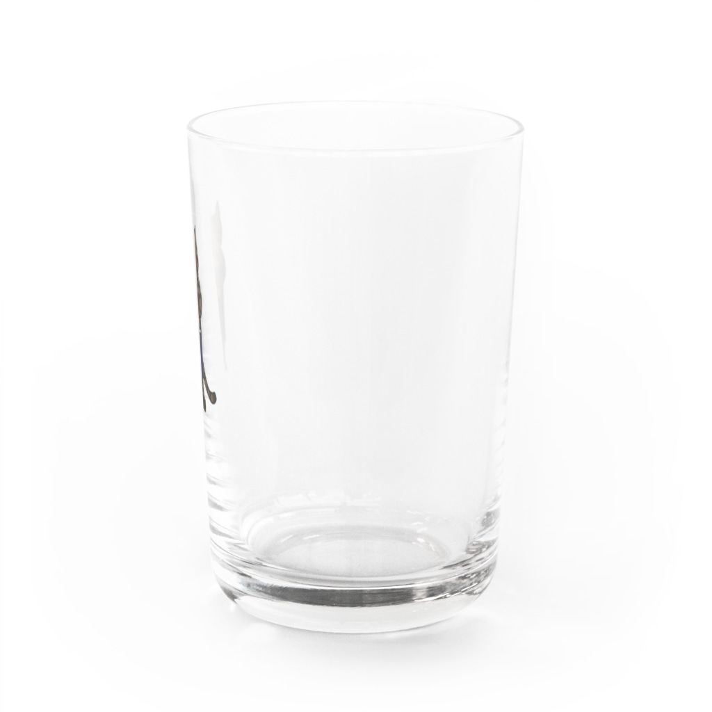 with_puyoの蔵人ネコ Water Glass :right