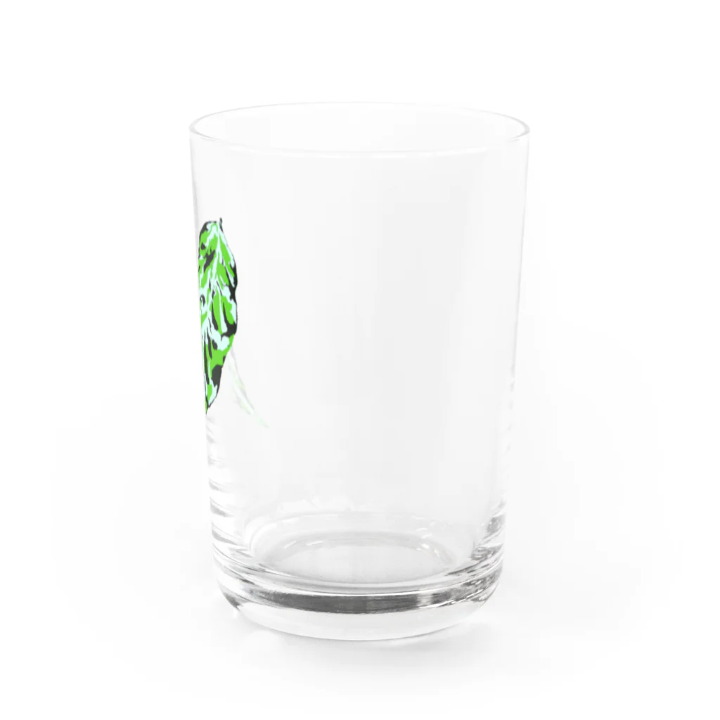 FOXWORKSのアグラオネマリーフ Water Glass :right