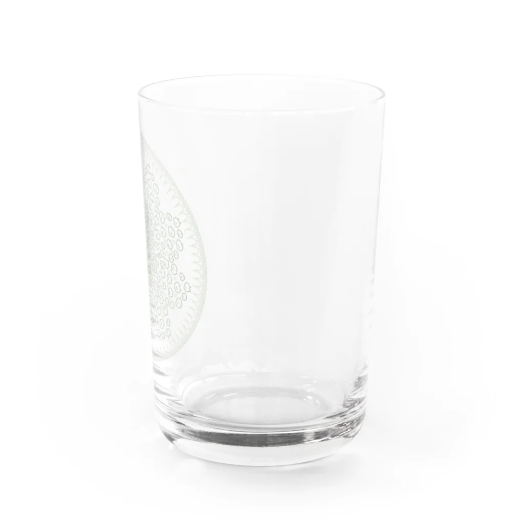 こんにちわんこ屋のくまくまレース　白 Water Glass :right