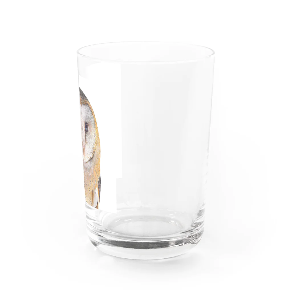 【CPPAS】Custom Pet Portrait Art Studioの可愛いメンフクロウ Water Glass :right