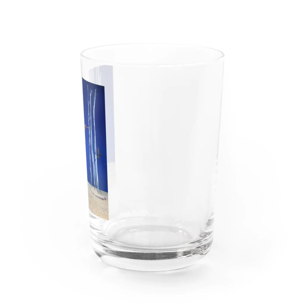 HIROMI10のウィーディ·シードラゴン Water Glass :right