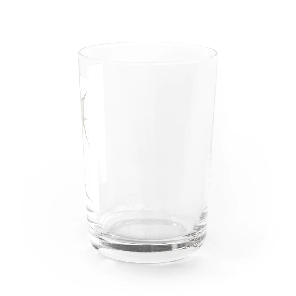 nokkccaの./Wires - 1 "pattern" Water Glass :right