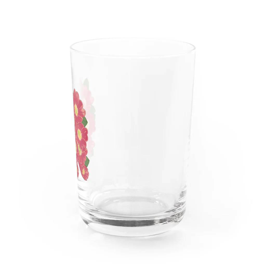 machiのプリムラ Water Glass :right