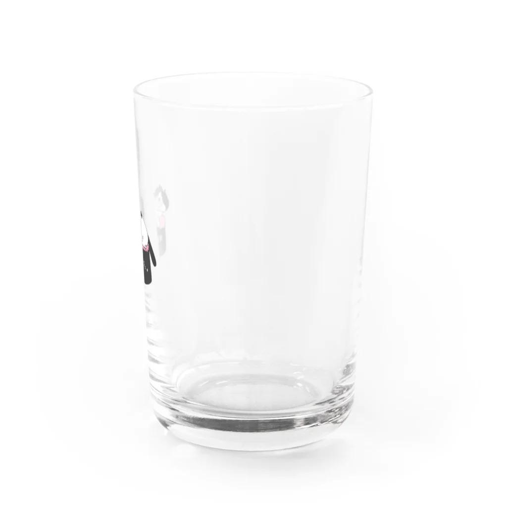 箱入りハチワレ猫　みょんの箱入りネコみょん Water Glass :right