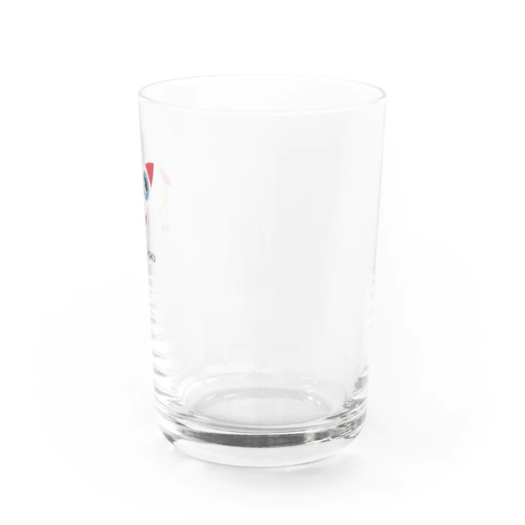 柴道楽のSHIBADORAKU ROCKET Water Glass :right