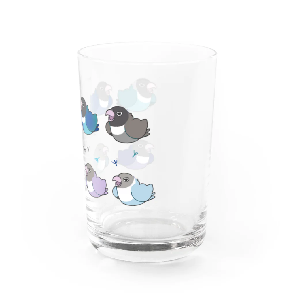 おりすの巣のアングリーラブバード　ボタンインコ達（ブルー） Water Glass :right