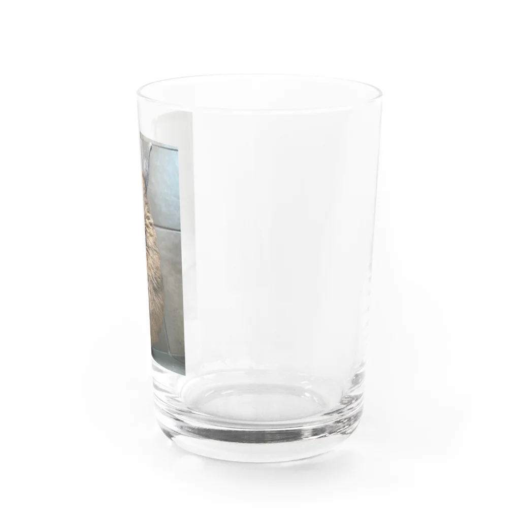 可愛きもの屋さんのラビフライ Water Glass :right