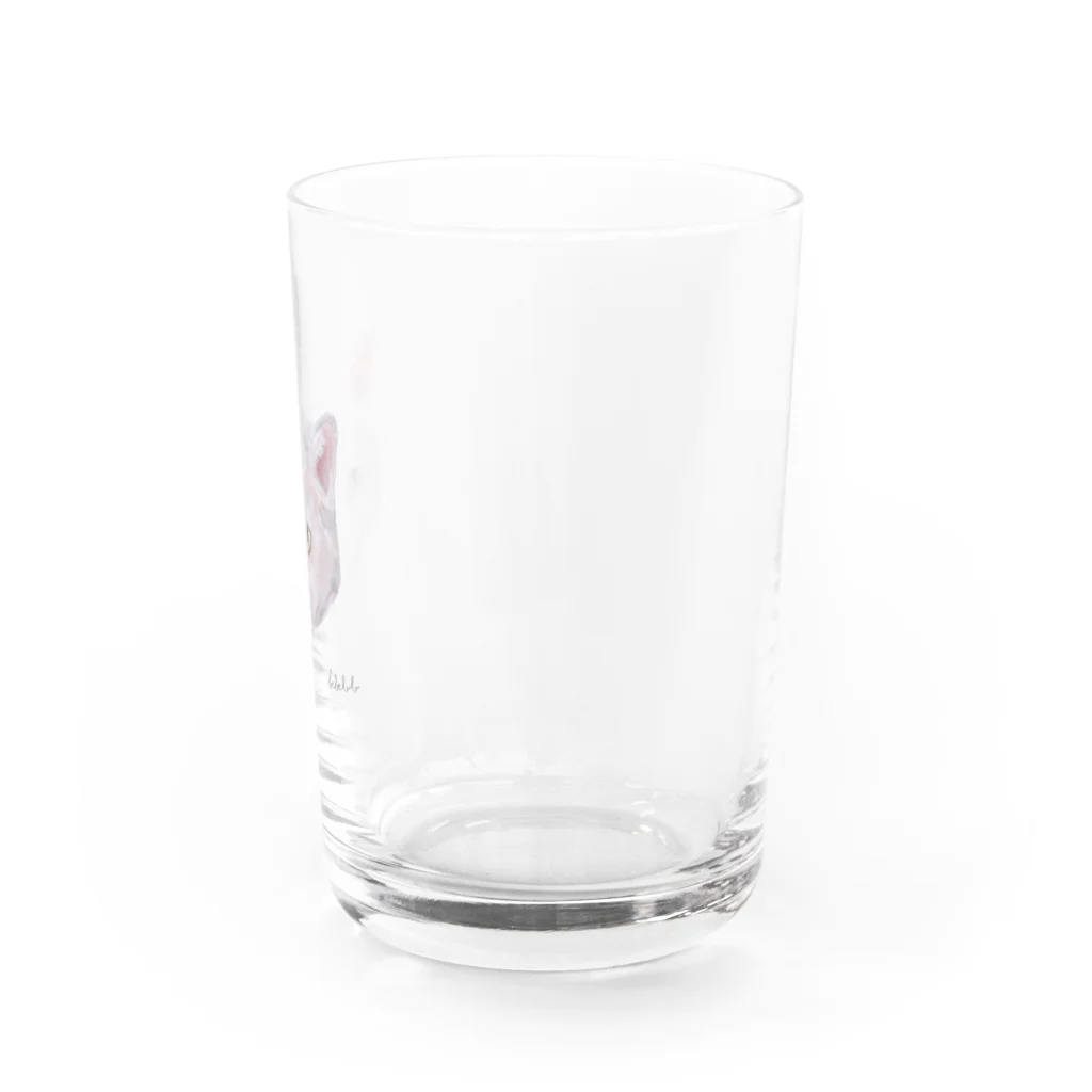 bebeluluのオッドアイ・キャット Water Glass :right