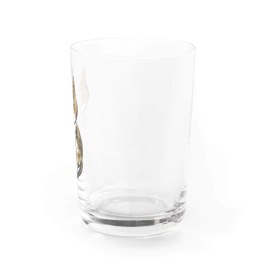 ニャンコ一族のかわいいさち Water Glass :right